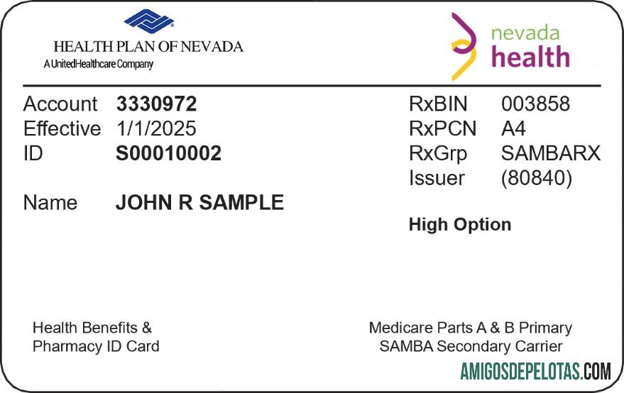 Cartão de seguro saúde de Nevada amostra